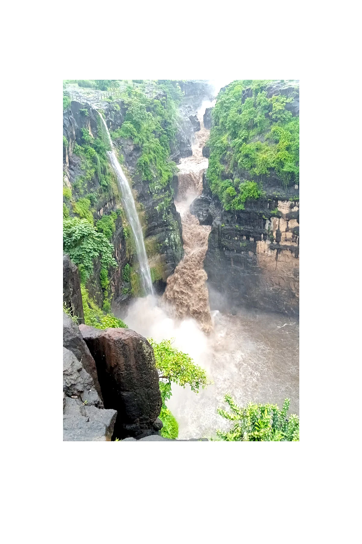 सर्व छायाचित्रे यदूविर शिंदे, जरंडी, सोयगाव
