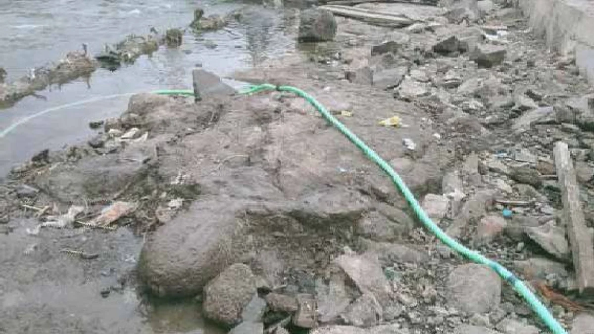 गोदापात्रात सापडला २७५ वर्षांपेक्षा अधिक जुना कोरीव कासव