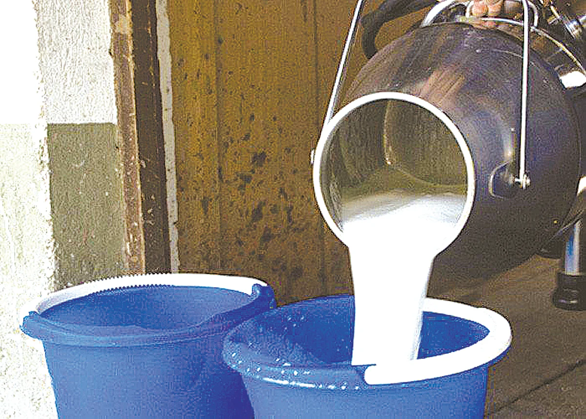अबब... आज जळगावकर पचवणार एक लाख लिटर अतिरिक्त दूध