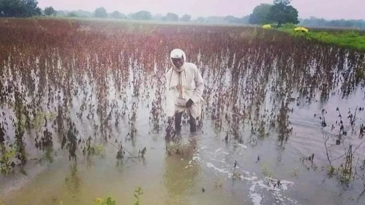 पारनेर तालुक्यात ओला दुष्काळ जाहीर करण्याची मागणी