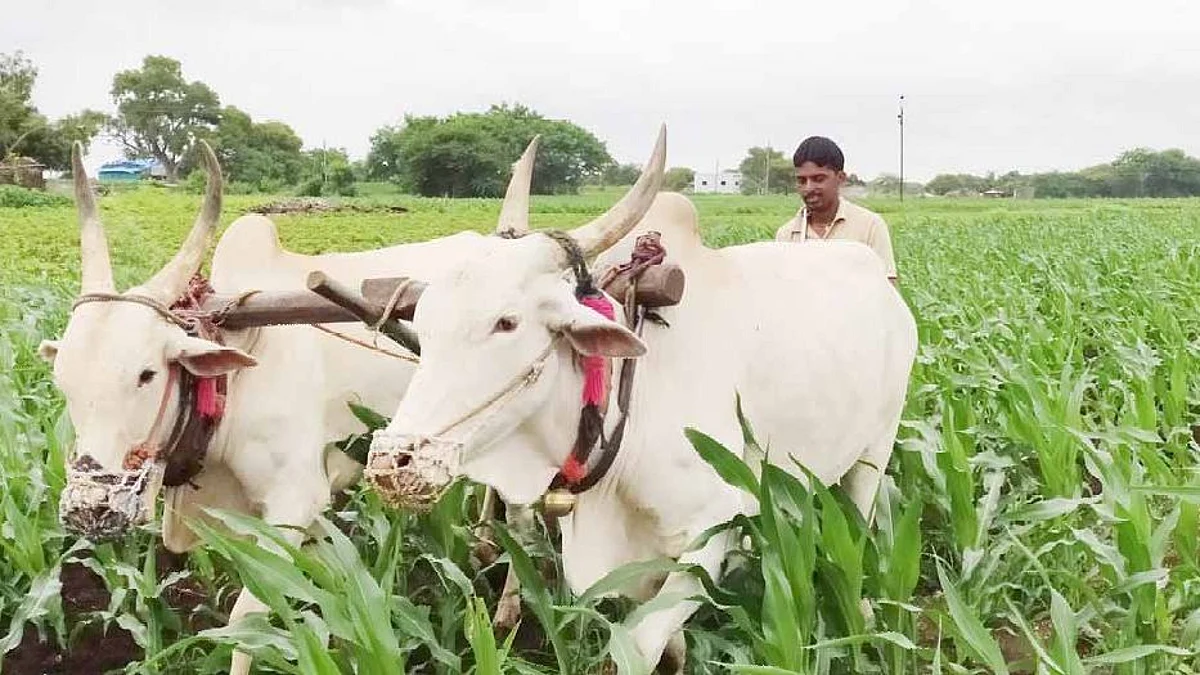सेंद्रिय शेतीला लोकचळवळीचे स्वरूप देणार - मुख्यमंत्री शिंदे