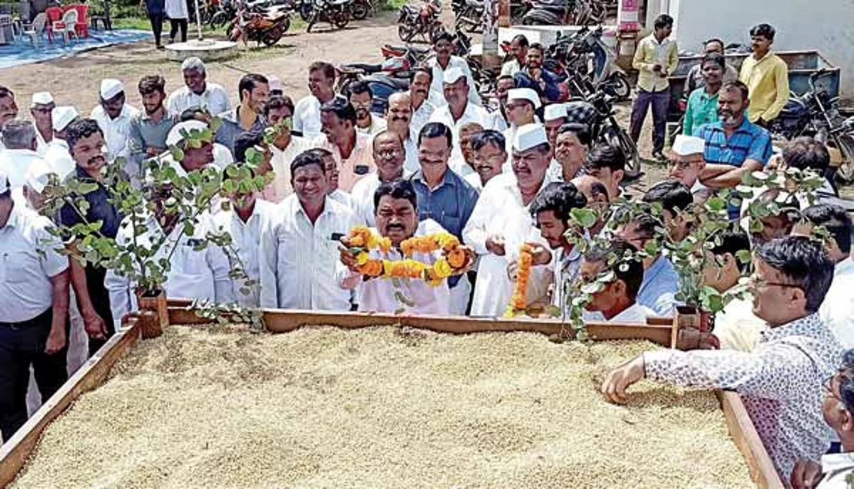 सोयाबीनला मिळाला प्रतिक्विंटल 'इतका' भाव