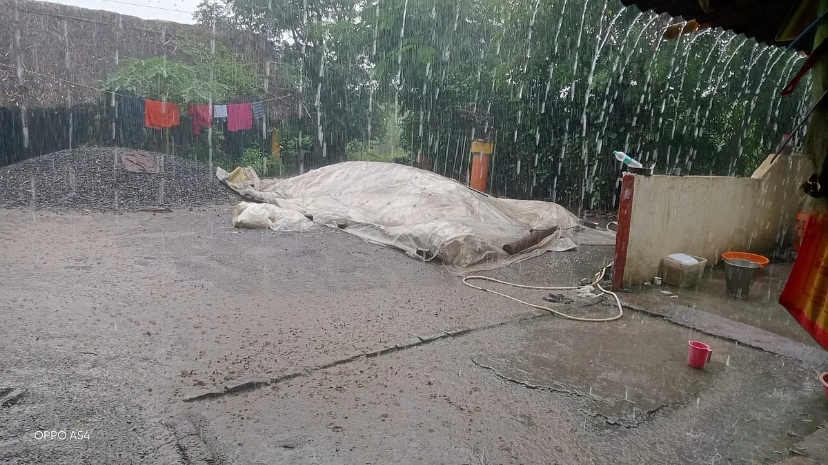 पाचेगाव : परतीच्या पावसाचा तडाखा, शेतकऱ्यांच्या पिकांचे मोठे नुकसान