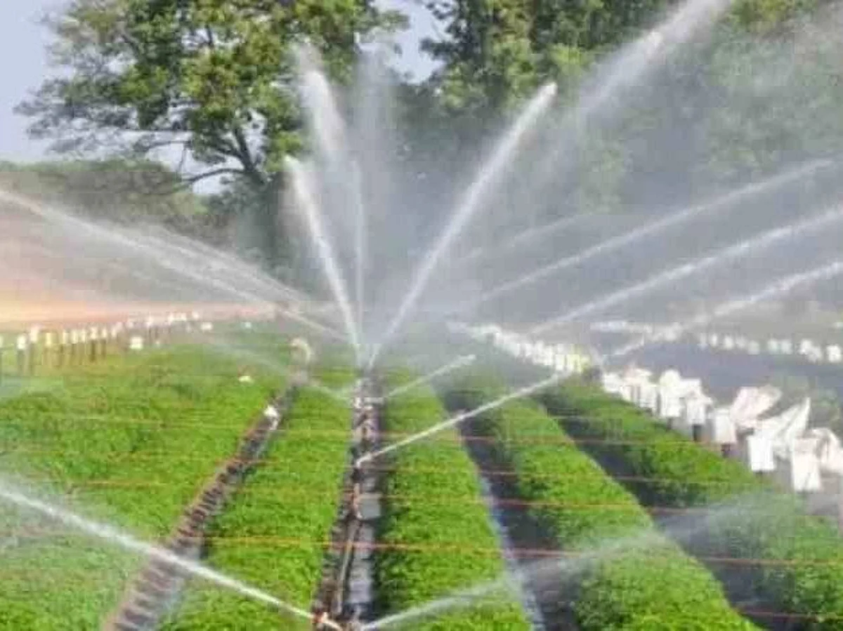 ठिबक व तुषार सिंचन संच बसविण्यासाठी अर्ज करण्याचे आवाहन