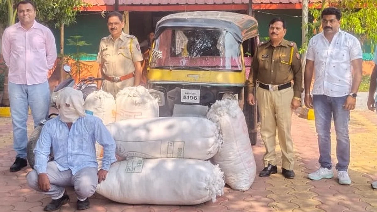 घरफोडी करून कापूस चोरणारा सराईत जेरबंद