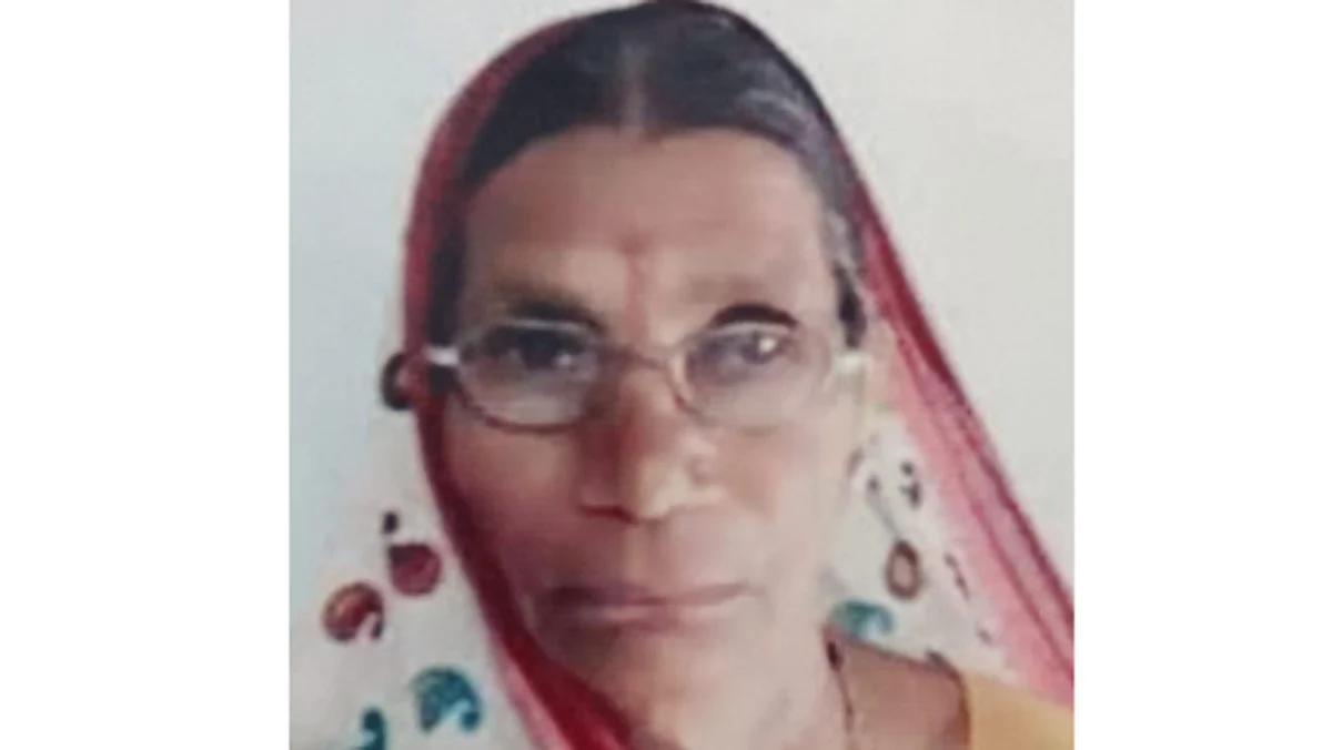 घाडवेल येथील वयोवृद्ध महिला बेपत्ता
