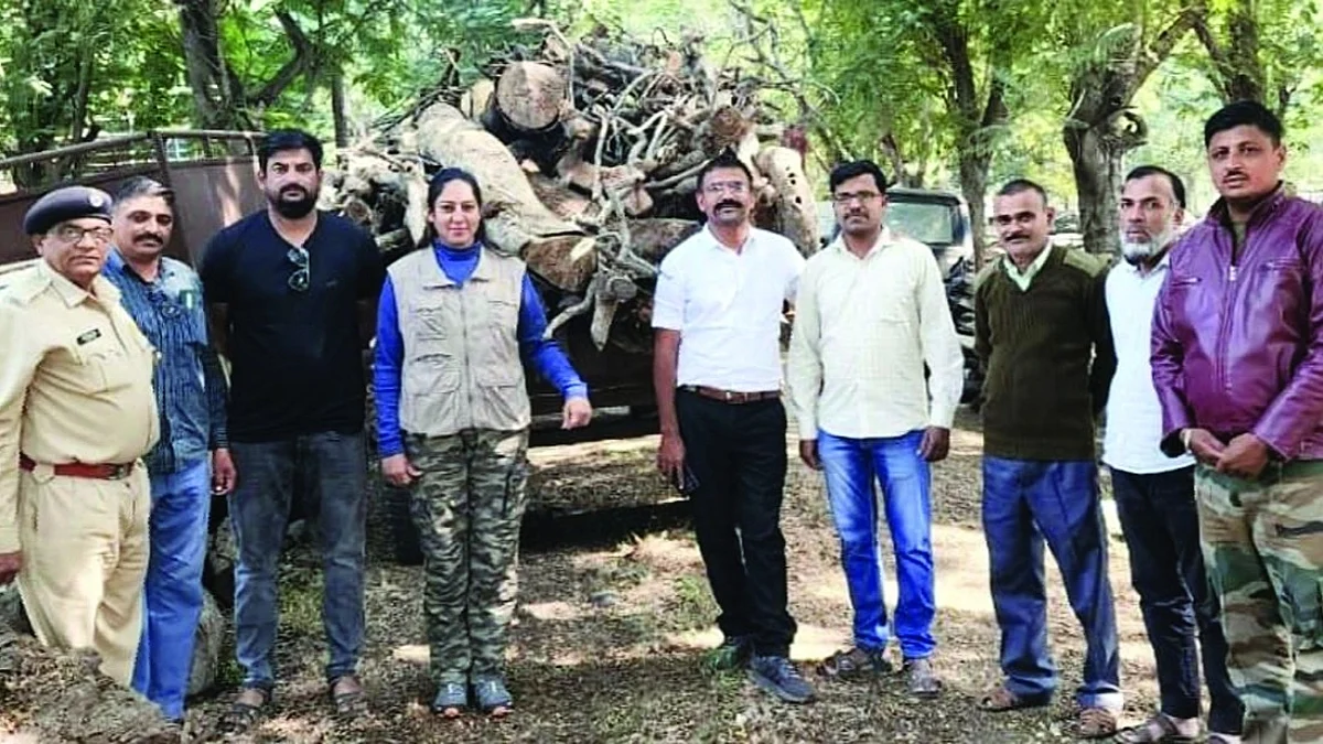 नवापूर तालुक्यात अवैध लाकडासह सहा लाखांचा मुद्देमाल हस्तगत