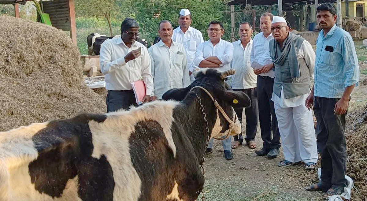 दाढ खुर्द येथे लम्पी जनावरांसाठी विलगीकरण कक्ष सुरु करणार - येरेकर