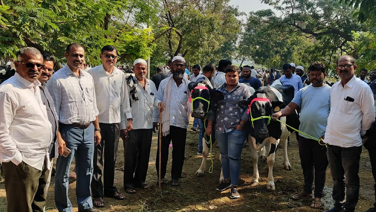 साडे तीन महिन्यानंतर सुरू झाला जनावरे बाजार; चार कोटींची उलाढाल