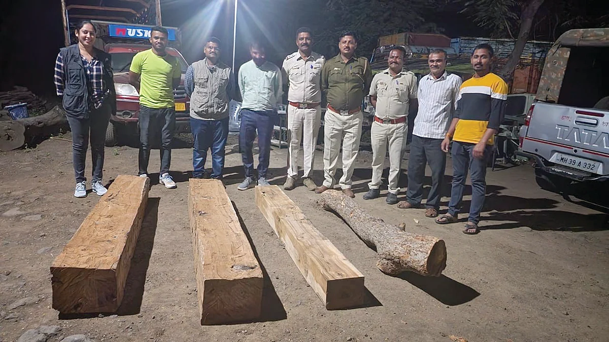 आमलाण येथे दोन लाखांचे अवैध लाकूड जप्त
