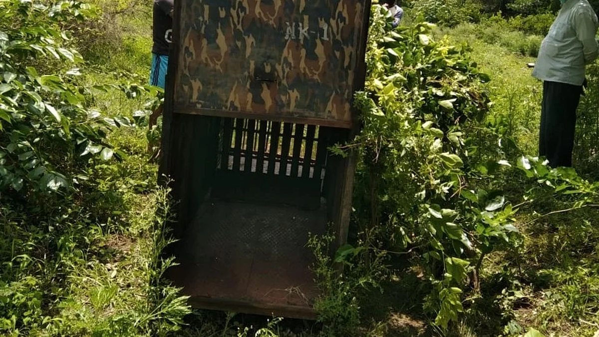बिबट्यासाठी लावला पिंजरा अन् पुढे घडले असे काही...