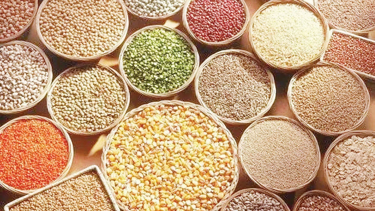 तृणधान्य सेवन हीच आरोग्याची गुरुकिल्ली