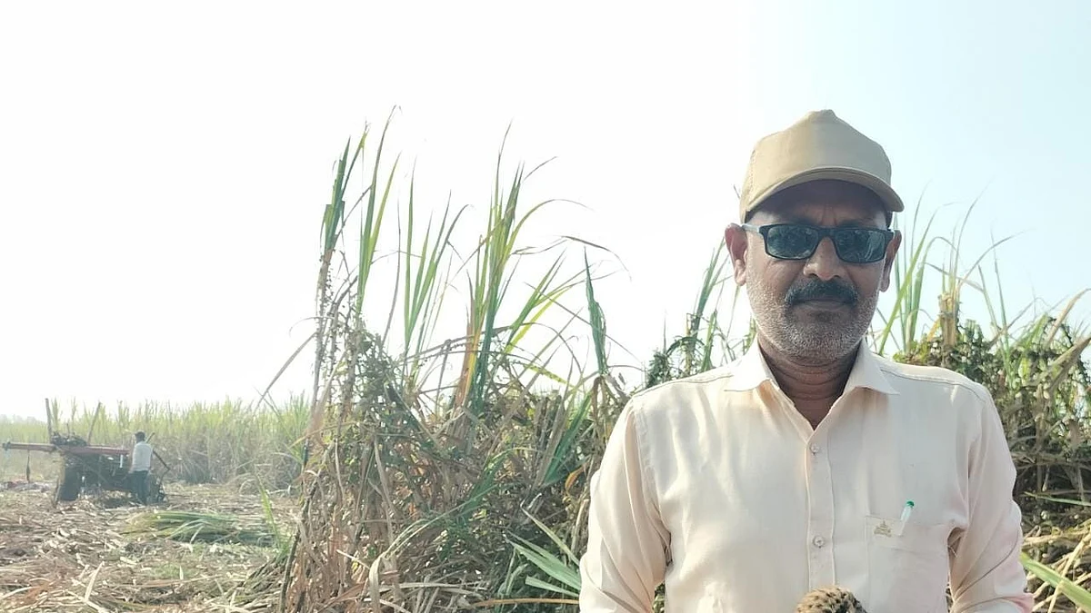 हनुमंतगावात बिबट्याची पाच पिल्ले आढळली