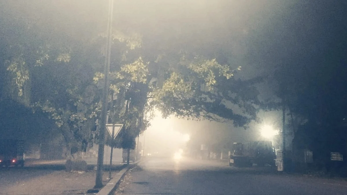 नाशकात धुक्याची दुलई; पाहा फोटो