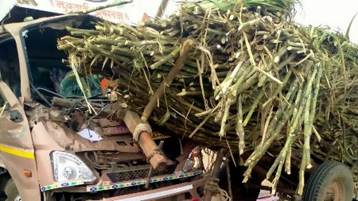 दोन विचित्र अपघातात बैलासह एक ठार
