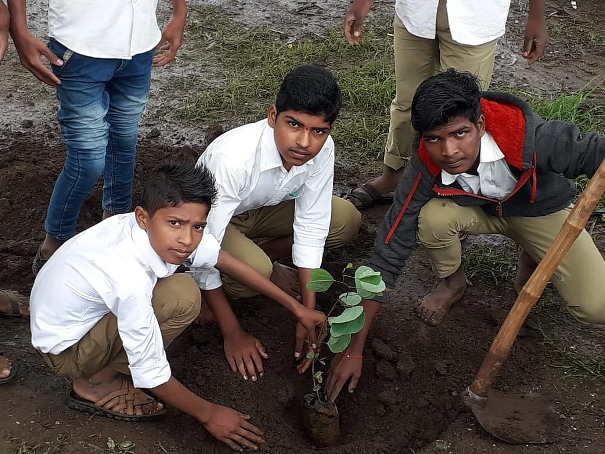 पावसाळा आला वृक्षारोपण करायचे पण...
