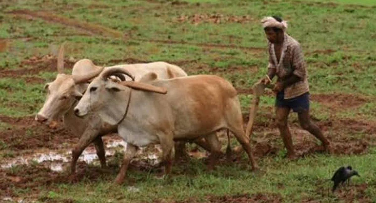 Soil health management and scenario of Nashik district