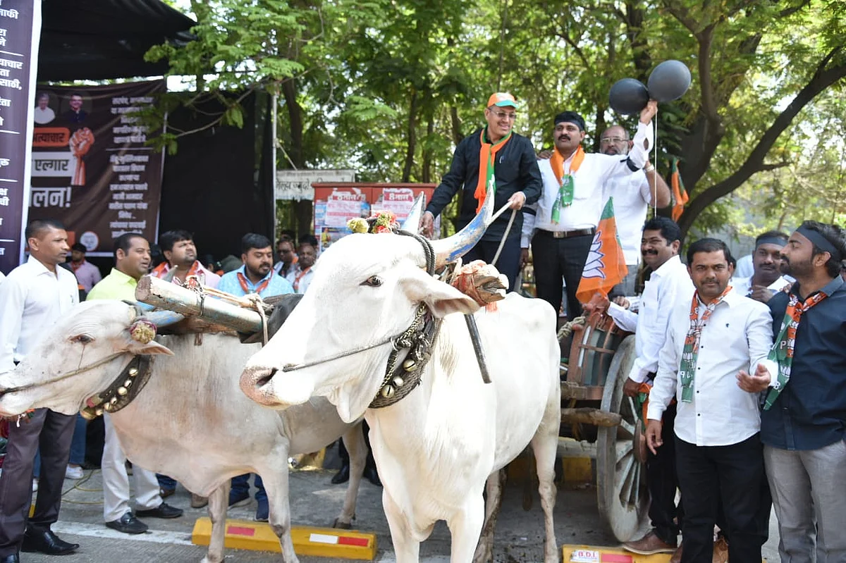 भाजपची बैलगाडीसह तहसील कार्यालयावर धडक; राज्यभर धरणे आंदोलन