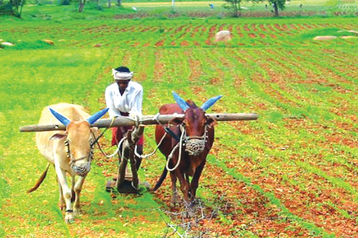 १ लाख ४६ हजार शेतकरी कर्जमाफीपासून वंचित; लाॅकडाऊनचा इफेक्ट