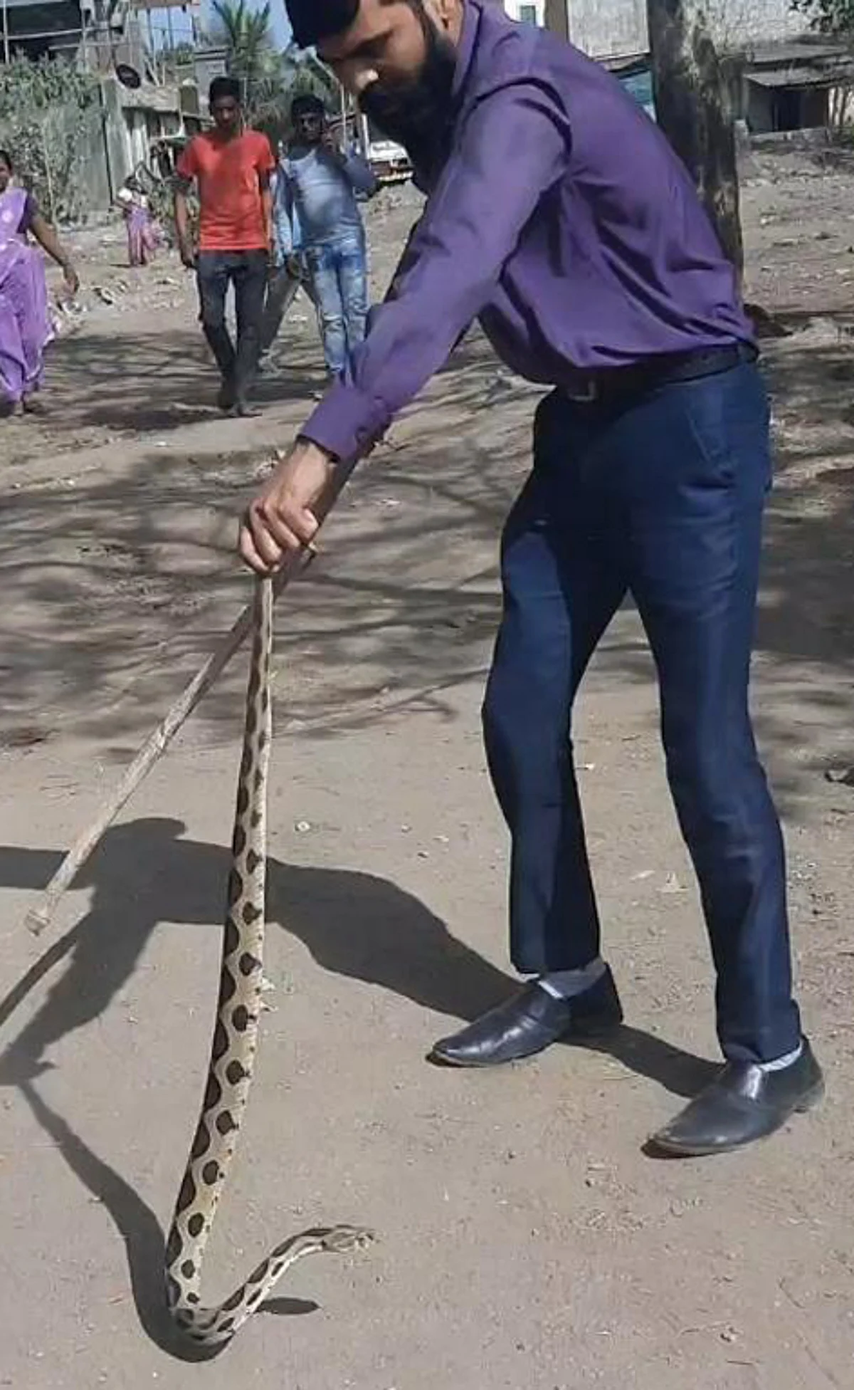 देवळाली कॅम्प : अतिविषारी घोणस जातीच्या सर्पाला जीवदान