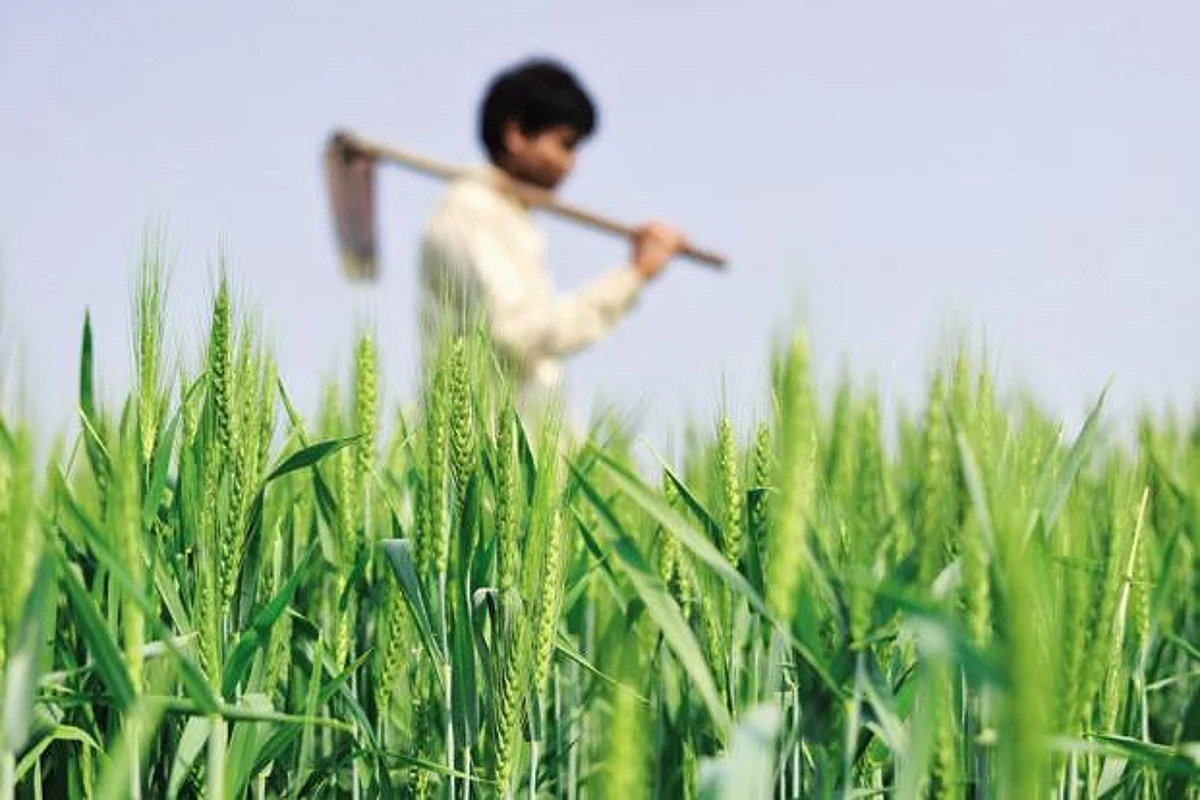 Blog : ‘करोना’नंतरचं कृषीक्षेत्र!