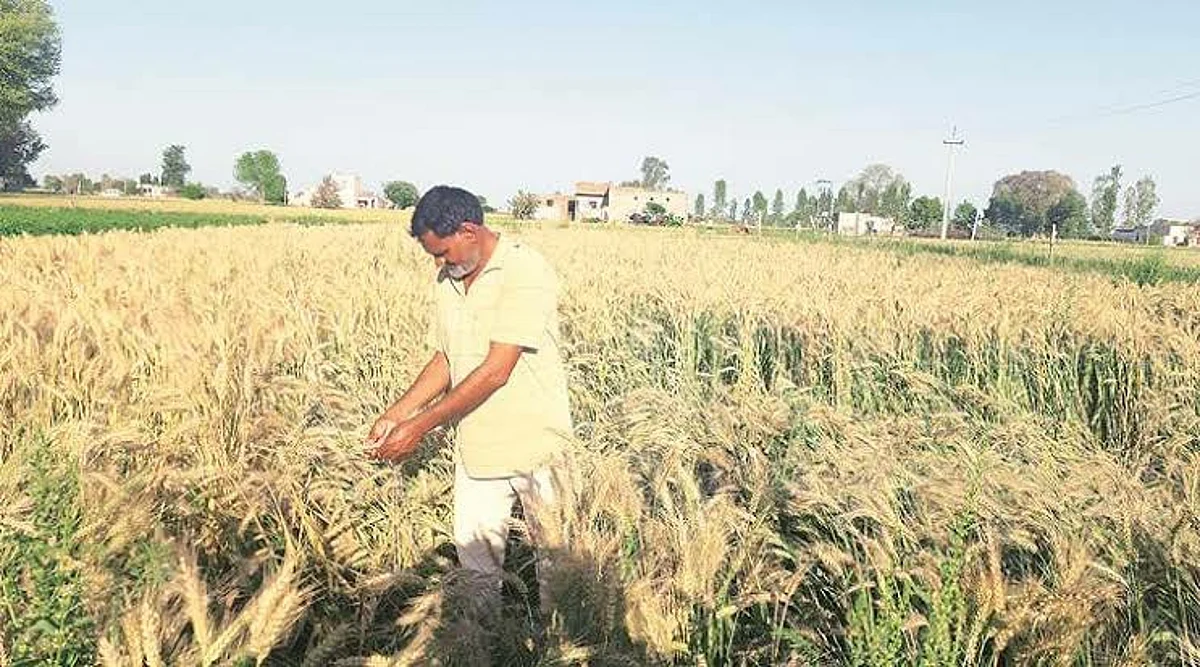 ऐन सुगी अन लग्नसराईत कोरोनाचा खोळंबा; शेतकऱ्यांचे आर्थिक नियोजन ढासळले