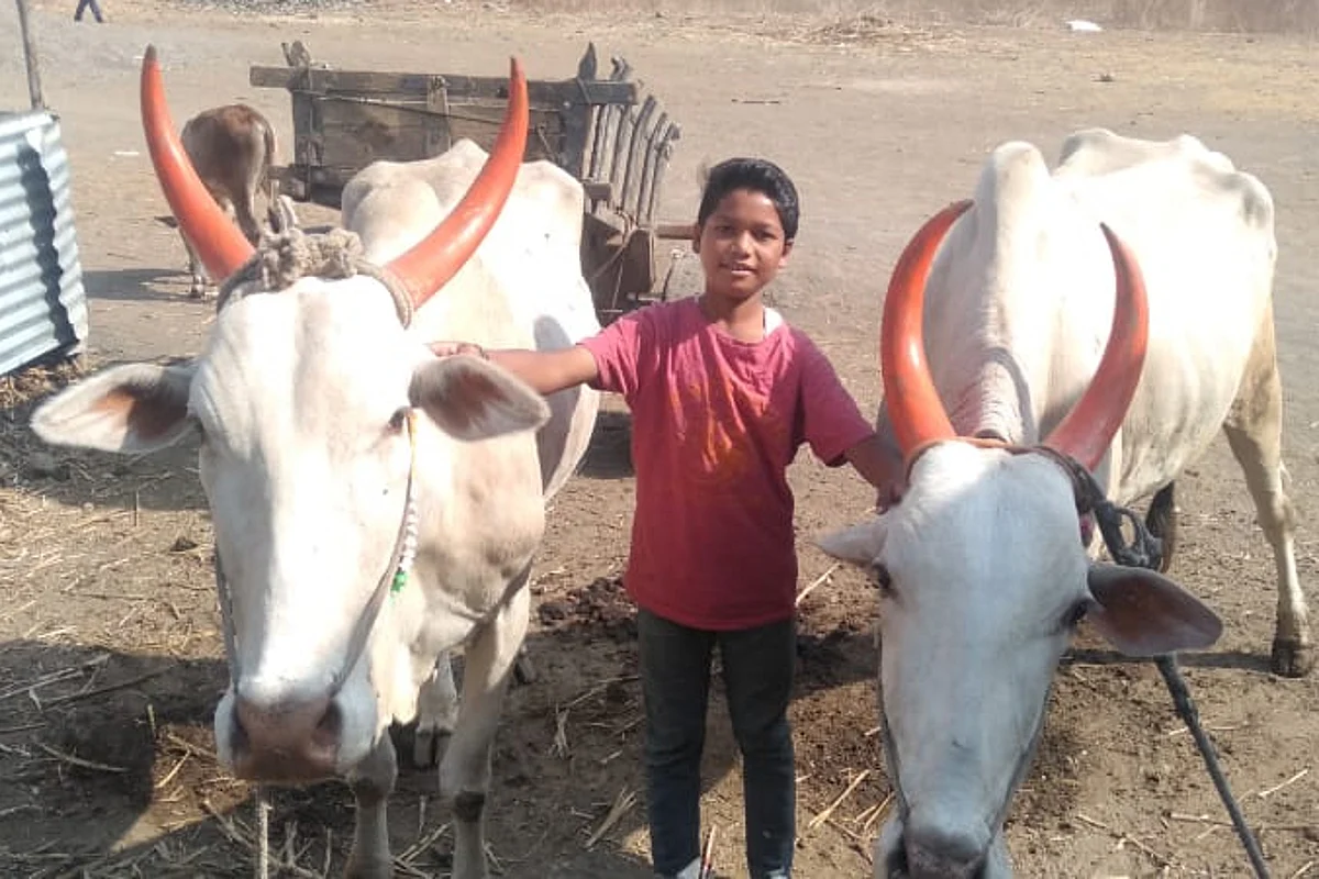 बैलांना पाणी पाजण्यासाठी गेलेल्या १३ वर्षीय बालकाचा बुडून मृत्यू; मालेगाव तालुक्यातील डोंगराळे येथील घटना