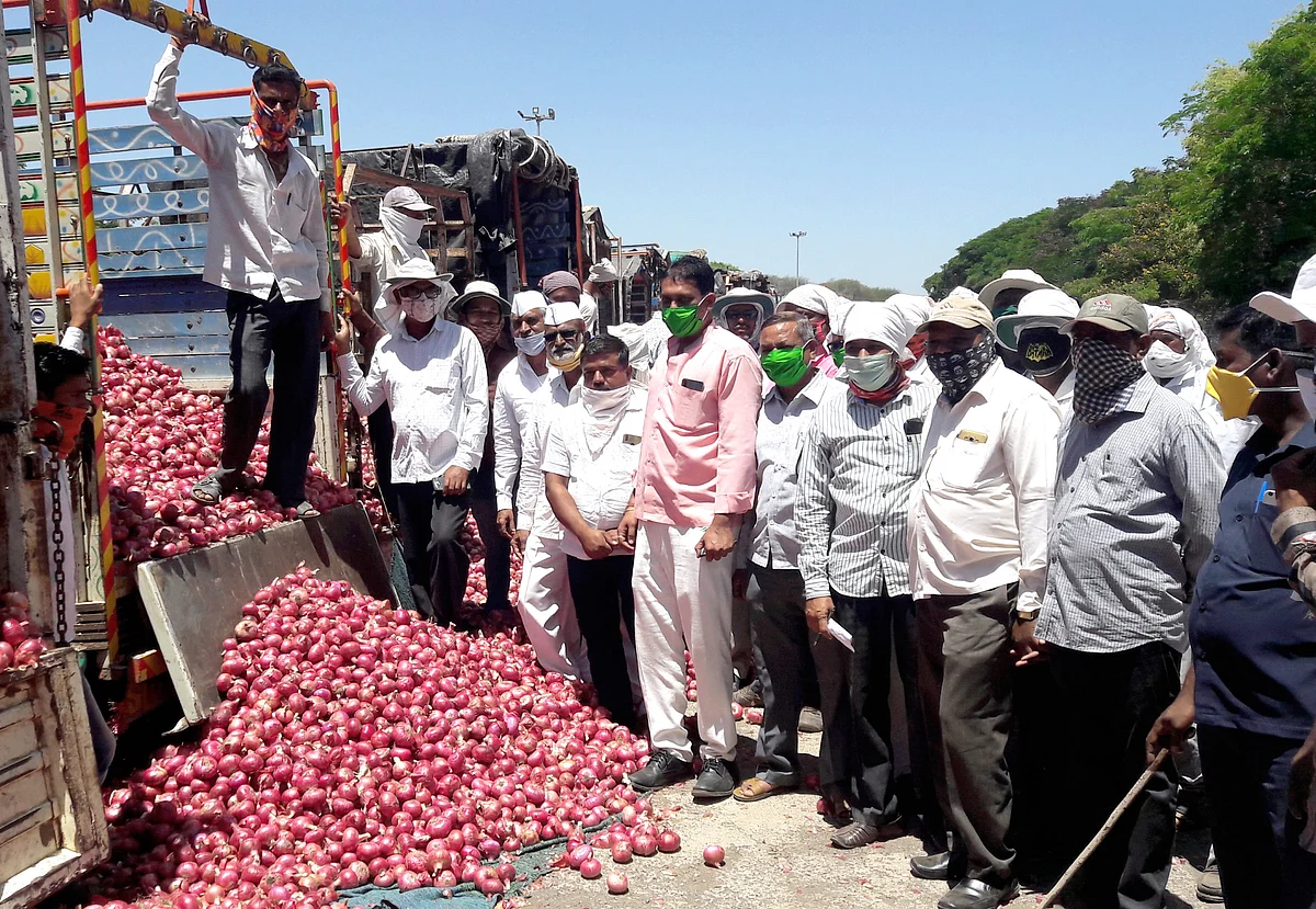 लासलगाव : ‘नाफेड’ तर्फे ५० हजार मेट्रिक टन कांदा खरेदीला सुरुवात