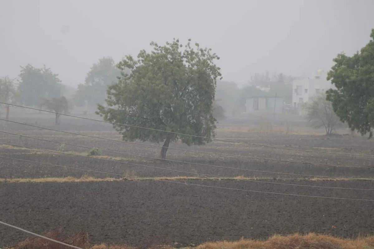 चक्रीवादळामुळे 20 गावांतील 56 हेक्टरवर नुकसान
