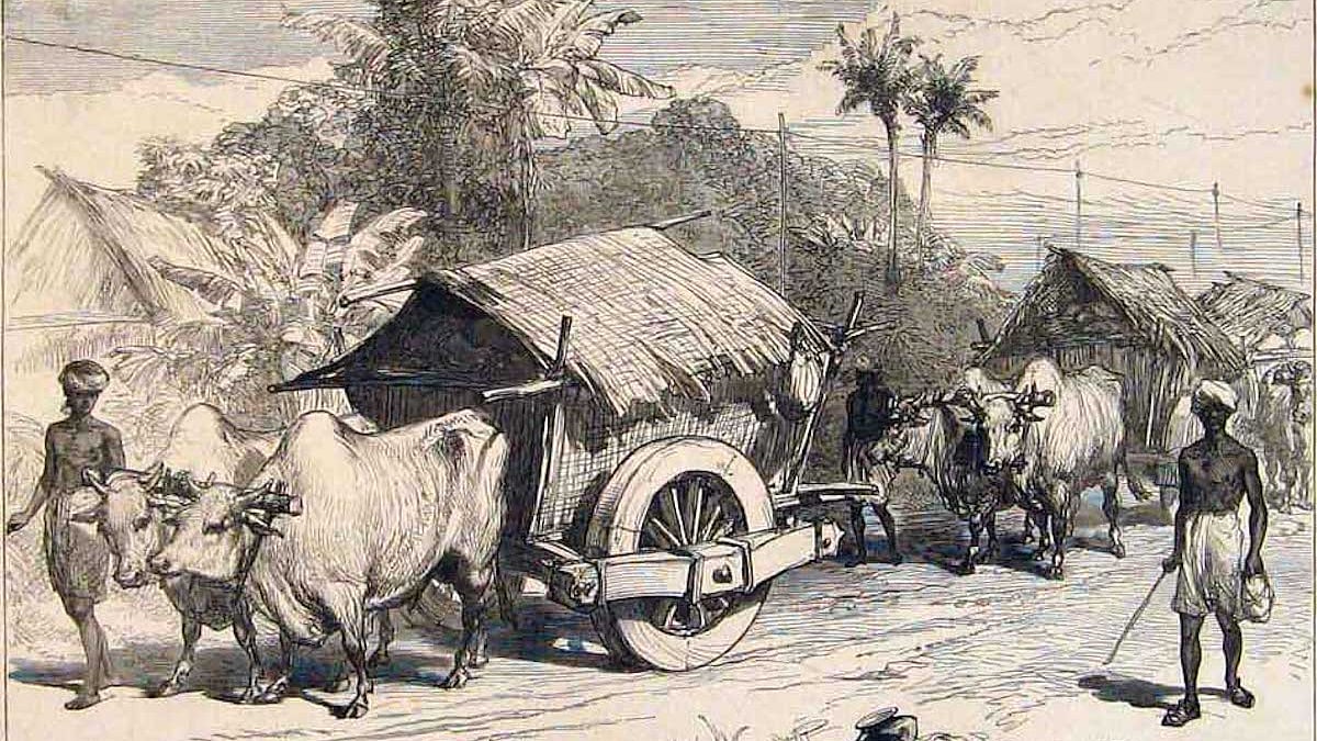 A Colonial British Surgeon’s India Diary: Circa 1891