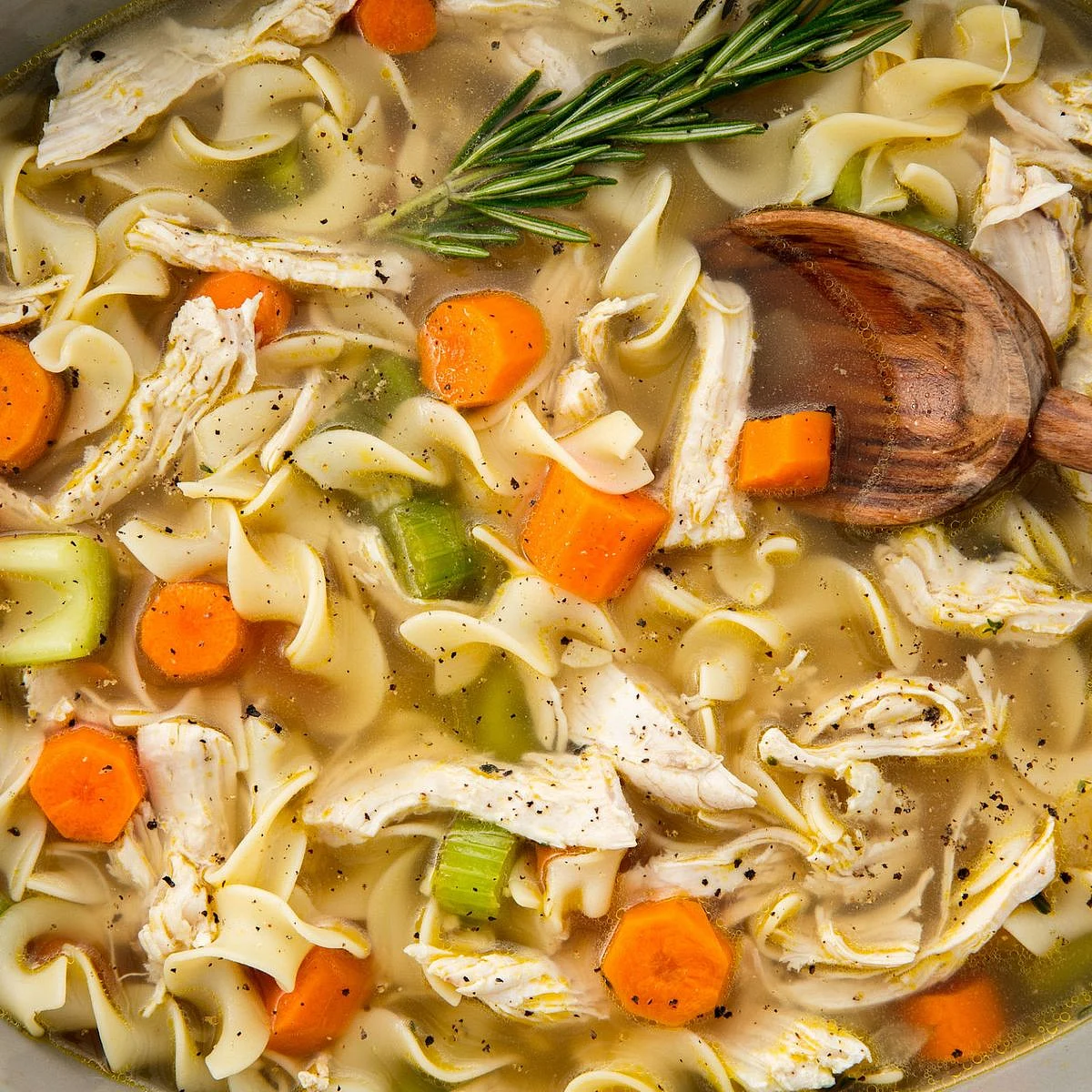 Chicken Noodle Soup