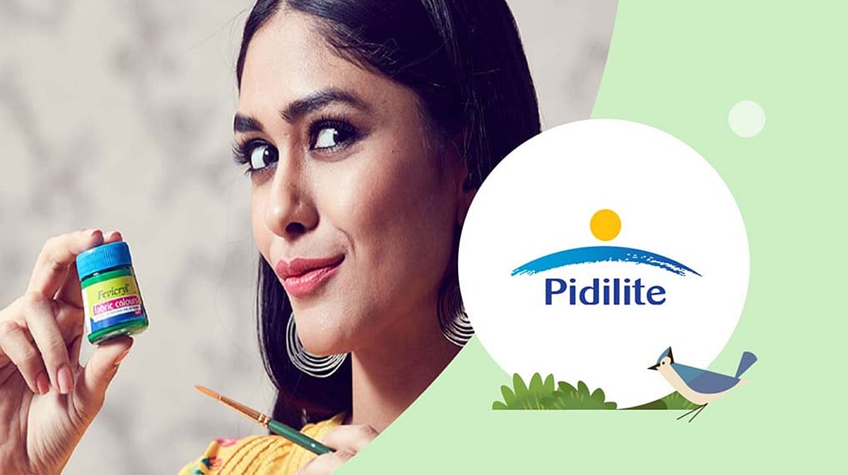 Pidilite Improves Productivity and Customer Experience with Salesforce