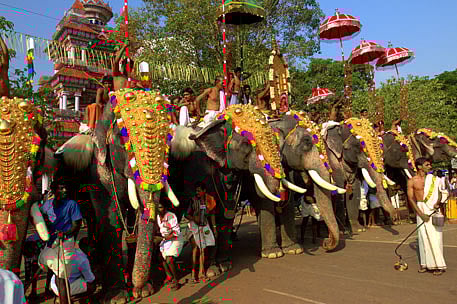 About 100 elephants paraded in Kerala's Thrissur Pooram without ...
