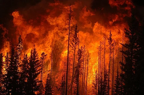 Ash from wildfires is relatively non-toxic and similar to ash that may be found in a home fireplace, but it may be irritating to the skin, nose and throat
Credit:Cameron Strandberg/Flickr