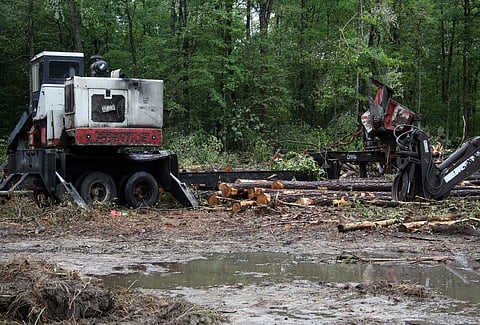 The untracked deforestation can have ramifications beyond the loss of critical forests. Credit: eutrophication / Flicker
