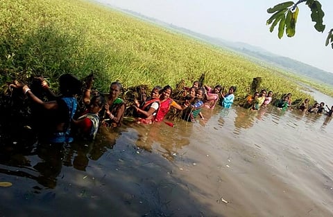 Around two tonnes of weeds was extracted and used as compost for the crops. Credit: Goonj