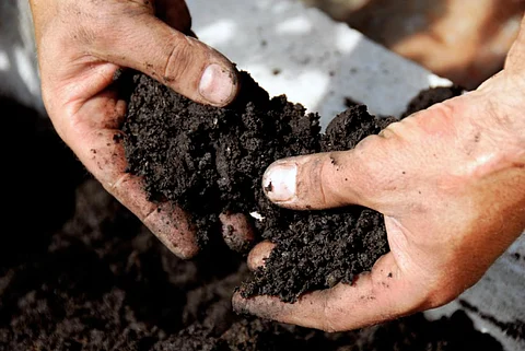 Two factors influence Se concentration in soil: precipitation and aridity index (Credit: iStock)