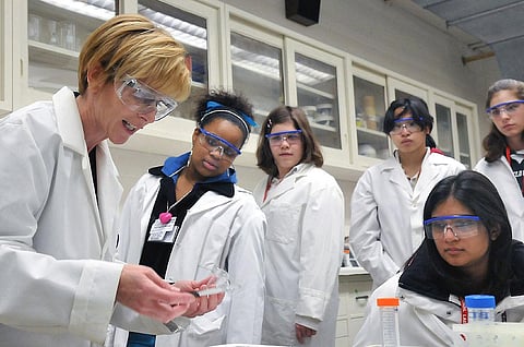 Female scientists are often more productive than their male colleagues but much less likely to be recognised for their work. (Argonne National Laboratory/Wikimedia, CC BY-SA)