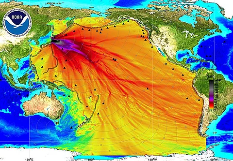 Map released by the US National Oceanic and Atmospheric Administration (NOAA) that shows the radioactive waste released by the Fukushima plant spreading across the Pacific Ocean Credit: NOAA