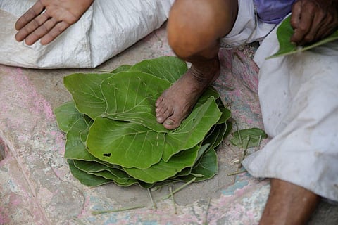 Sal Leaf, a minor forest produce that forest-dwelling communities can collect and trade, has been taxed 18 per cent (Credit: Vikas Choudhary/CSE)