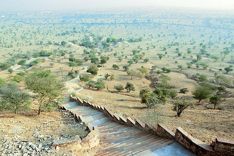 The sacred grove,
or oran, at Mukam
village of Bikaner
district is spread
over 290 hectares.
It is being looked
after by the Akhil
Bhartiya Bishnoi
Mahasabha