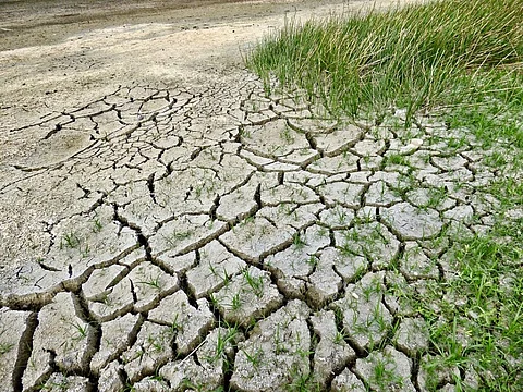 What southern Africa can learn from other countries about adapting to drought