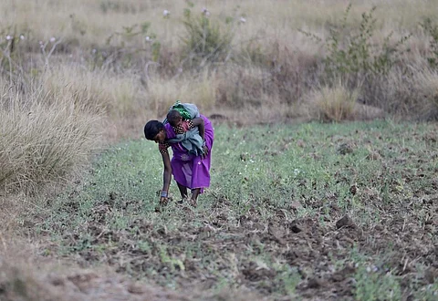 The draft policy also talks about degraded land and how it can be improved by undertaking afforestation activities. Credit: Vikas Choudhary / DTE
