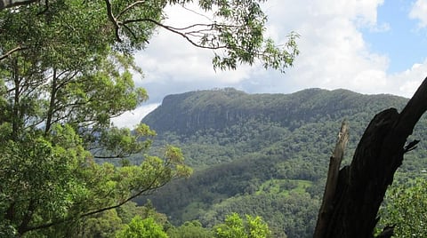Forests of Western Ghats contribute 1 mm per day of rainfall during June and July over majority of locations in Tamil Nadu. Credit: PXHere 