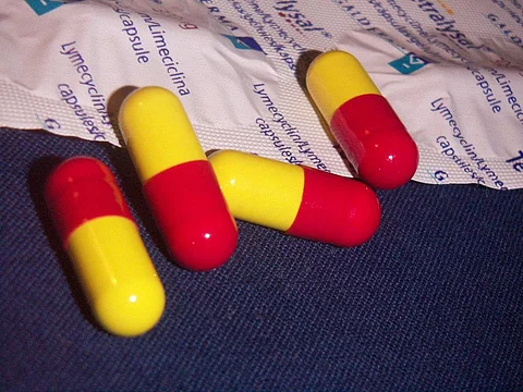 Antibiotic resistance is accelerated due to indiscriminate use of antibiotics for disease treatment as well as in agriculture and veterinary sectors. Credit: Wikimedia Commons