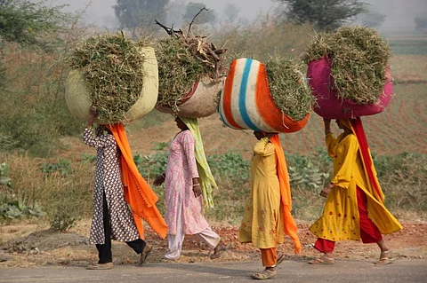 The provisions of the Panchayats (Extension to Scheduled Areas) Act, 1996 will now apply to these areas giving local communities control over minor minerals Credit: Richard Evea / Flickr