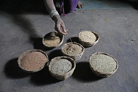 The ecologists say there was a need for behavioural change among the youth to revive indigenous foods. Credit: Vikas Choudhary                                                                                                                                                     