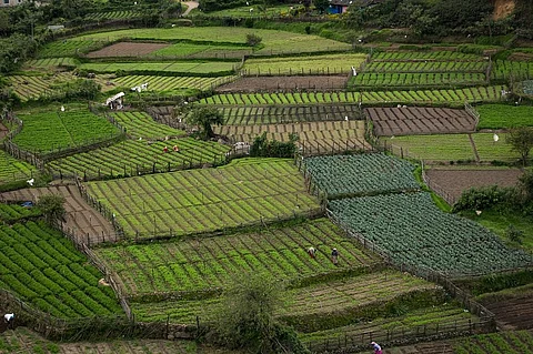 In Goa, it’s the small and marginal farmers who have been most involved in this land fragmentation. Credit: Getty Images