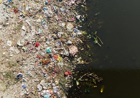 A polluted river bank. Credit: Getty Images