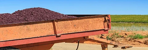 Wine pomace. Credit: Getty Images